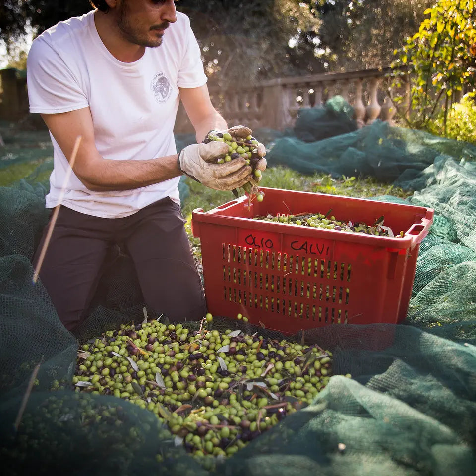 NAPOLI - Linguine alla Puttanesca, 8 Portionen