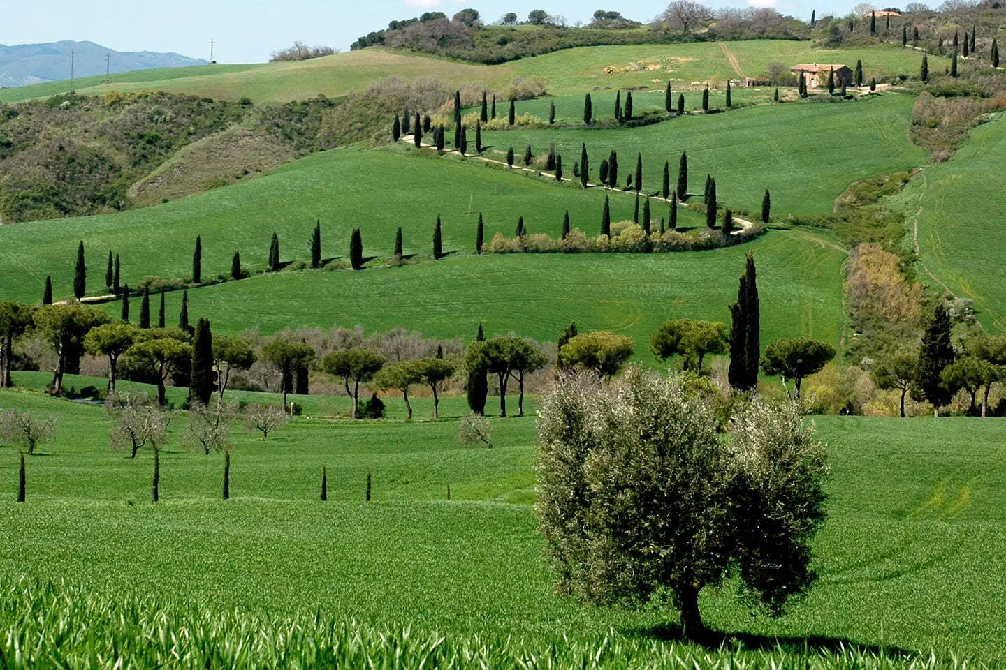 Villa Magra Riserva 500 ml