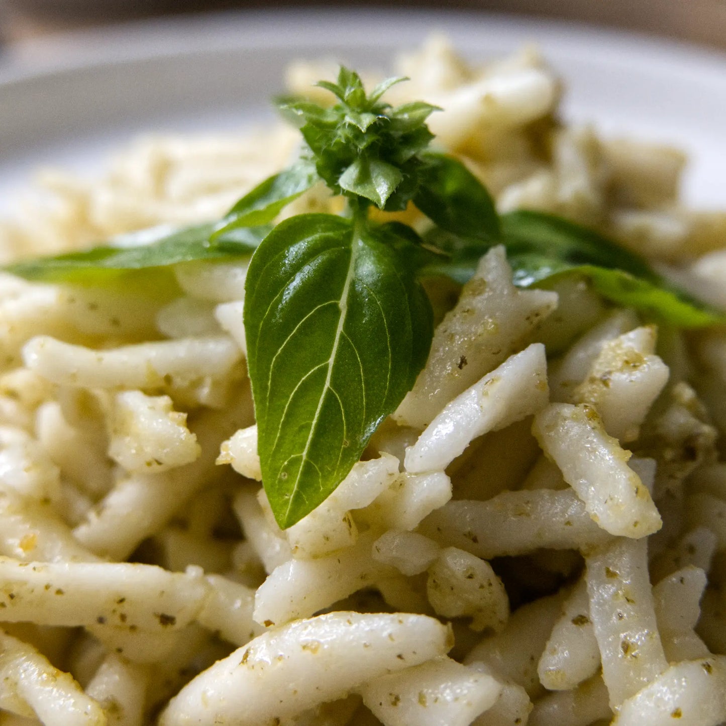 GENOVA - Trofiette al Pesto, 4 / 8 Portionen