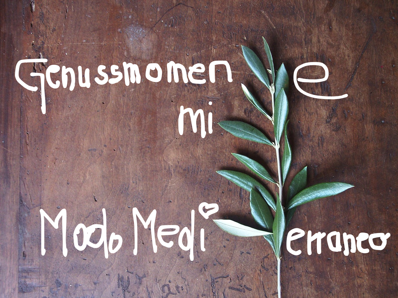 Olivenzweig-Gutschein-Modo Mediterraneo