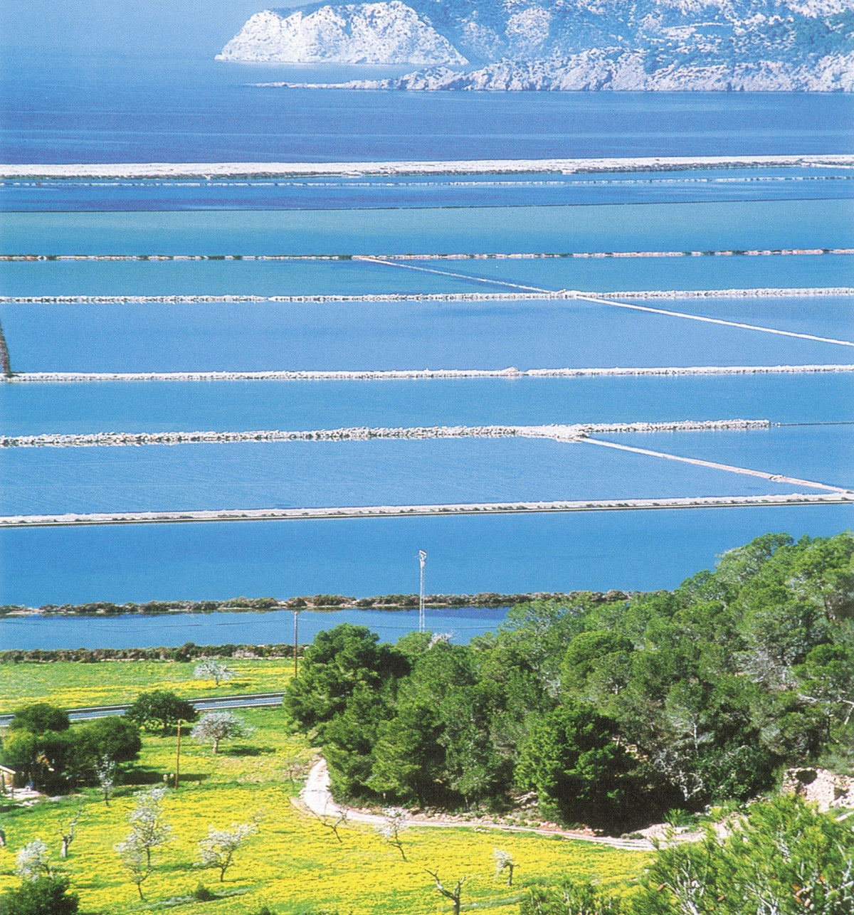 Sal Marina Grano Meersalz, grob gemahlen – Sal de Ibiza, 1.000 g